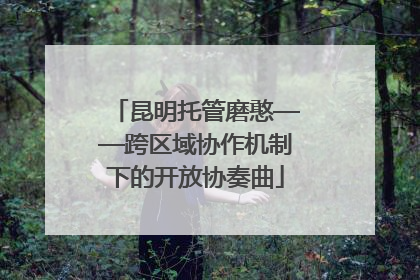昆明托管磨憨——跨区域协作机制下的开放协奏曲