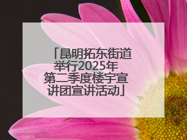 昆明拓东街道举行2025年第二季度楼宇宣讲团宣讲活动
