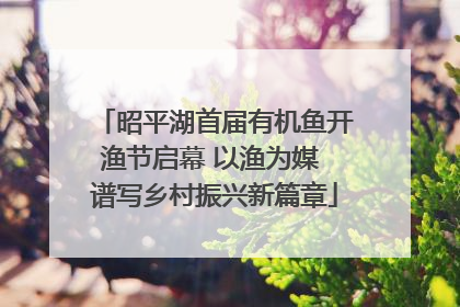 昭平湖首届有机鱼开渔节启幕 以渔为媒 谱写乡村振兴新篇章