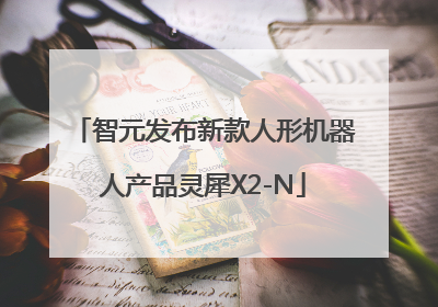 智元发布新款人形机器人产品灵犀X2-N