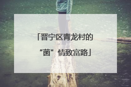 晋宁区青龙村的“菌”情致富路