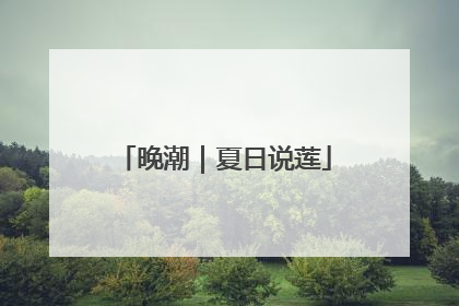 晚潮｜夏日说莲