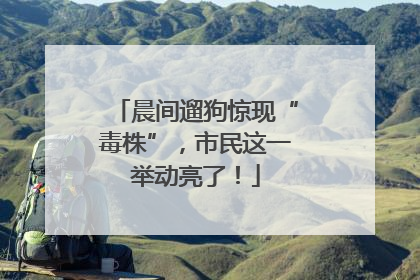 晨间遛狗惊现“毒株”，市民这一举动亮了！