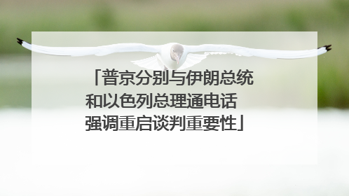 普京分别与伊朗总统和以色列总理通电话 强调重启谈判重要性