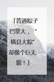 普通粽子巴掌大，“横县大粽”却像个巨无霸！