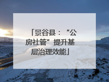 景谷县：“公房社管”提升基层治理效能