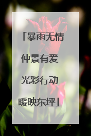 暴雨无情 仲景有爱 光彩行动暖映东坪