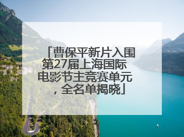 曹保平新片入围第27届上海国际电影节主竞赛单元，全名单揭晓