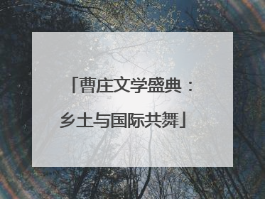 曹庄文学盛典：乡土与国际共舞