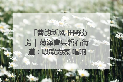 曹韵新风 田野芬芳｜菏泽曹县磐石街道：以歌为媒 唱响乡土“新歌声”