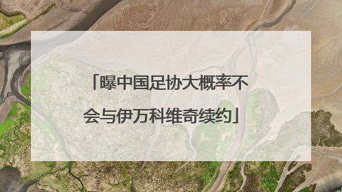 曝中国足协大概率不会与伊万科维奇续约