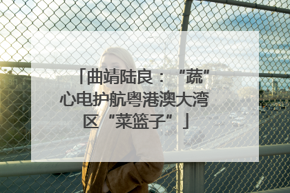 曲靖陆良：“蔬”心电护航粤港澳大湾区“菜篮子”