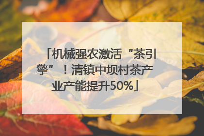 机械强农激活“茶引擎”！清镇中坝村茶产业产能提升50%