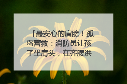 最安心的肩膀！孤岛营救：消防员让孩子坐肩头，在齐腰洪水里稳如泰山