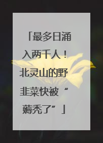 最多日涌入两千人！北灵山的野韭菜快被“薅秃了”