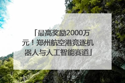 最高奖励2000万元！郑州航空港竞逐机器人与人工智能赛道