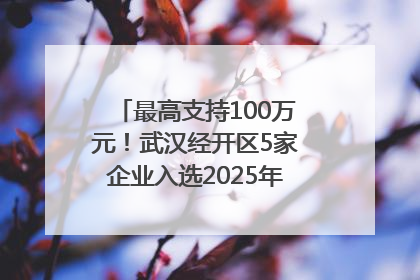 最高支持100万元！武汉经开区5家企业入选2025年度武汉市重点研发计划拟立项项目名单