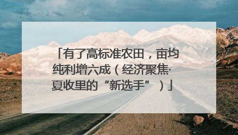 有了高标准农田，亩均纯利增六成（经济聚焦·夏收里的“新选手”）