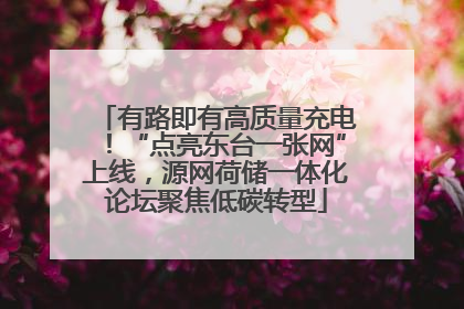 有路即有高质量充电！“点亮东台一张网”上线，源网荷储一体化论坛聚焦低碳转型
