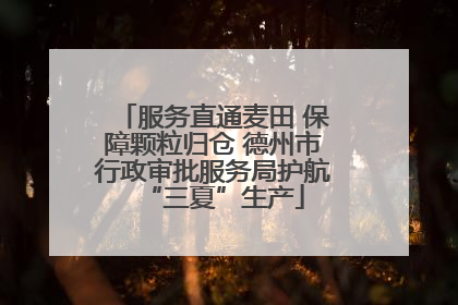 服务直通麦田 保障颗粒归仓 德州市行政审批服务局护航“三夏”生产
