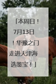本周日！7月13日！华豫之门走进天津海选鉴宝！