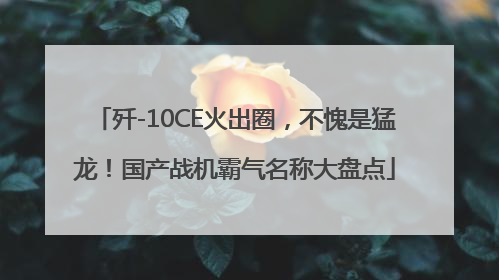 歼-10CE火出圈，不愧是猛龙！国产战机霸气名称大盘点