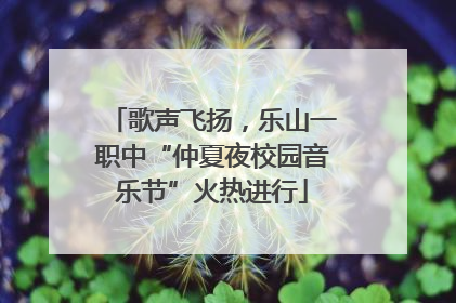 歌声飞扬，乐山一职中“仲夏夜校园音乐节”火热进行