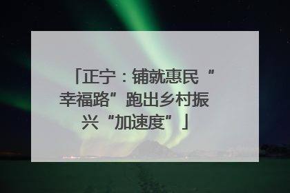 正宁：铺就惠民“幸福路”跑出乡村振兴“加速度”