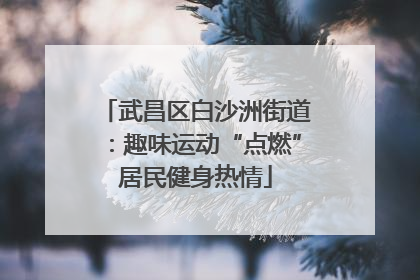 武昌区白沙洲街道：趣味运动“点燃”居民健身热情