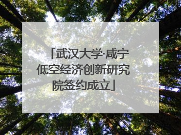 武汉大学·咸宁低空经济创新研究院签约成立