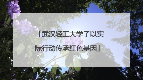 武汉轻工大学子以实际行动传承红色基因
