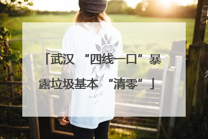 武汉 “四线一口”暴露垃圾基本 “清零”
