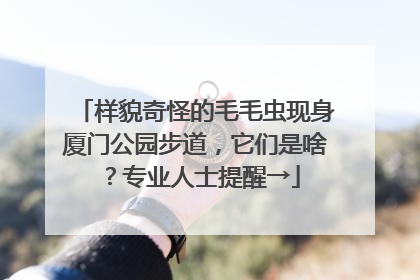 样貌奇怪的毛毛虫现身厦门公园步道，它们是啥？专业人士提醒→