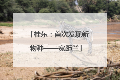 桂东：首次发现新物种——宽距兰