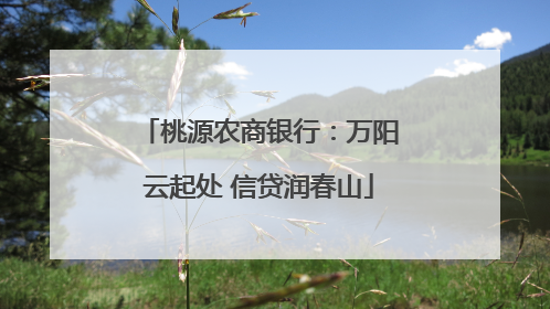 桃源农商银行：万阳云起处 信贷润春山