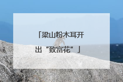 梁山粉木耳开出“致富花”