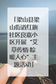 梁山县梁山街道红旗社区良嘉小区开展“艾草传情·粽暖人心”主题活动