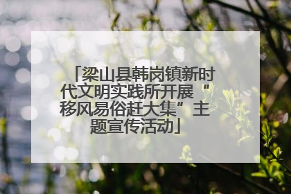 梁山县韩岗镇新时代文明实践所开展“移风易俗赶大集”主题宣传活动