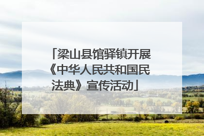 梁山县馆驿镇开展《中华人民共和国民法典》宣传活动