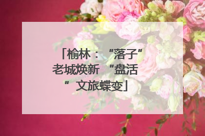榆林：“落子”老城焕新 “盘活”文旅蝶变