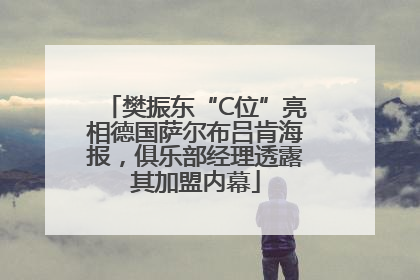 樊振东“C位”亮相德国萨尔布吕肯海报，俱乐部经理透露其加盟内幕