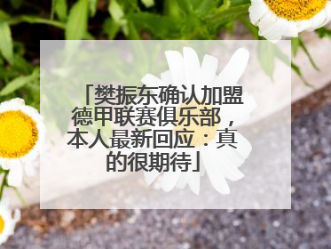 樊振东确认加盟德甲联赛俱乐部，本人最新回应：真的很期待