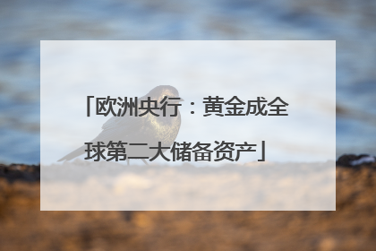 欧洲央行：黄金成全球第二大储备资产