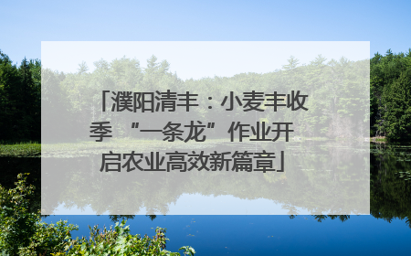 濮阳清丰：小麦丰收季 “一条龙”作业开启农业高效新篇章
