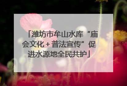 潍坊市牟山水库“庙会文化＋普法宣传”促进水源地全民共护