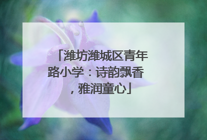 潍坊潍城区青年路小学：诗韵飘香，雅润童心