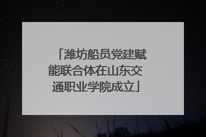 潍坊船员党建赋能联合体在山东交通职业学院成立
