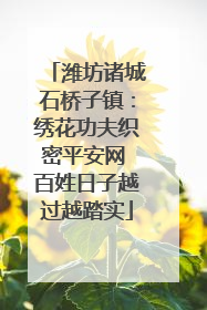 潍坊诸城石桥子镇：绣花功夫织密平安网 百姓日子越过越踏实