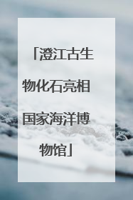 澄江古生物化石亮相国家海洋博物馆
