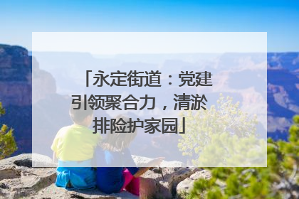 永定街道：党建引领聚合力，清淤排险护家园